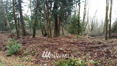 0 Parson Creek Road Sedro-Woolley, WA 98284 - Photo 8 of 20 Gallery Image 8