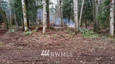 0 Parson Creek Road Sedro-Woolley, WA 98284 - Photo 9 of 20 Gallery Image 9