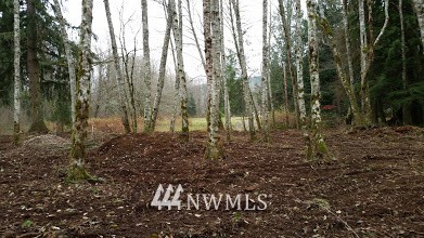 0 Parson Creek Road Sedro-Woolley, WA 98284 - Photo 10 of 20 Gallery Image 10