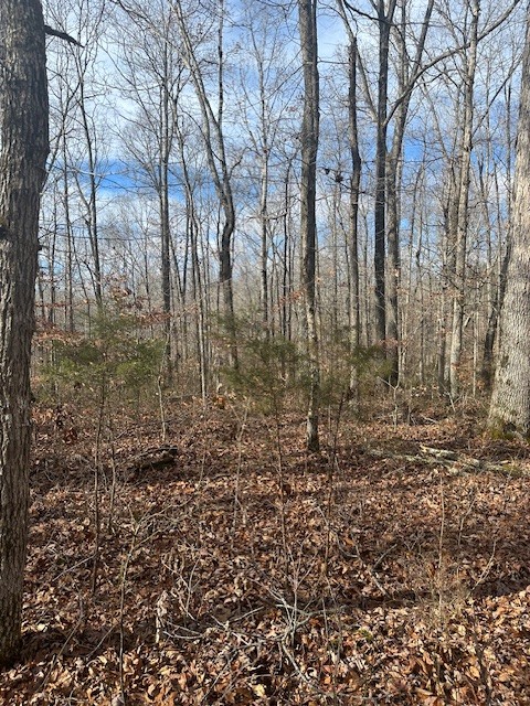 0 Ben Fly Road Lyles, TN 37098 - Photo 4 of 9 a view of a yard with trees