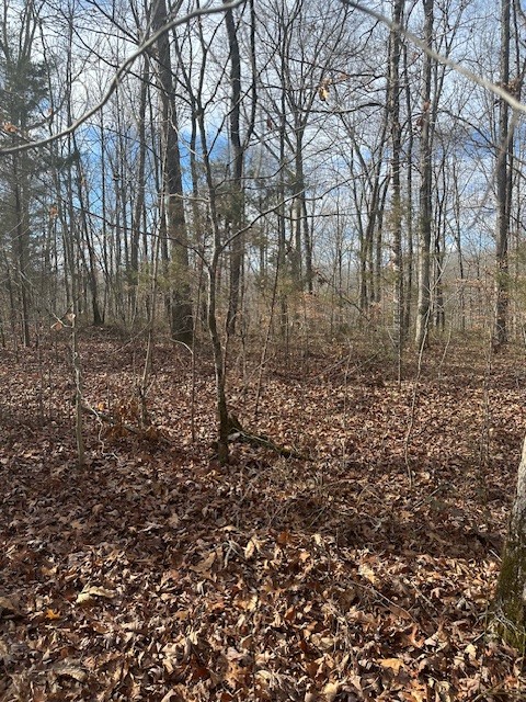 0 Ben Fly Road Lyles, TN 37098 - Photo 8 of 9 a view of a yard with trees in the background