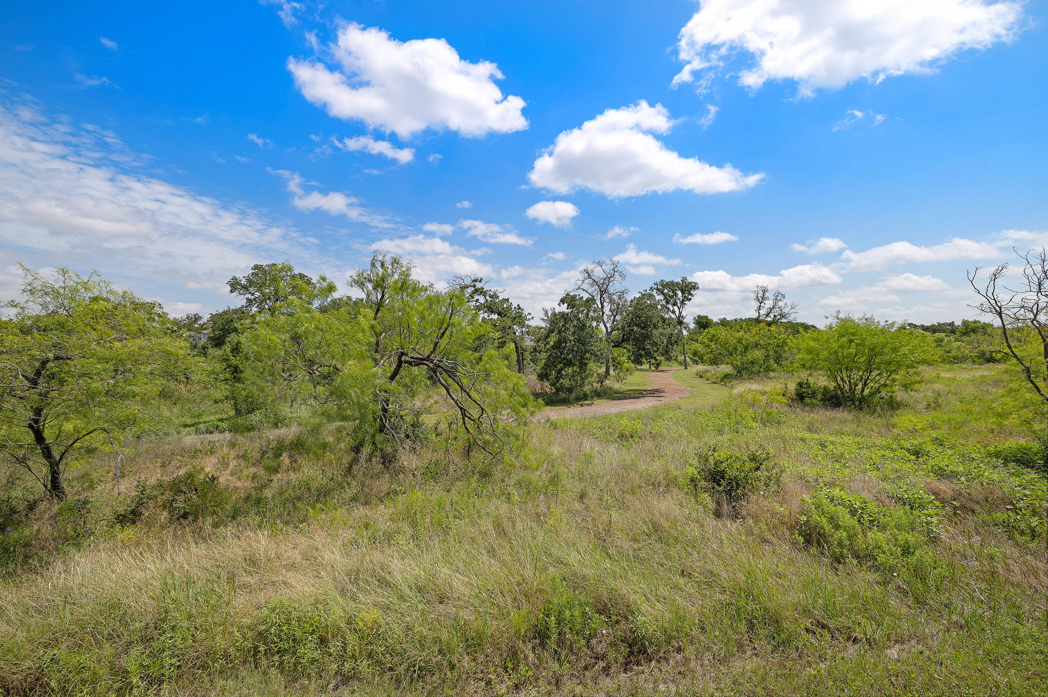 441 Gaida Loop Georgetown, TX 78628 - Photo 24 of 28