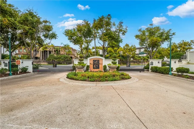 a view of a park with plants and trees