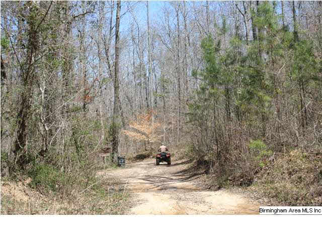 0 Silley Dean Road Northwest, Unit 277 AC Pinson, AL 35126 - Photo 7 of 19