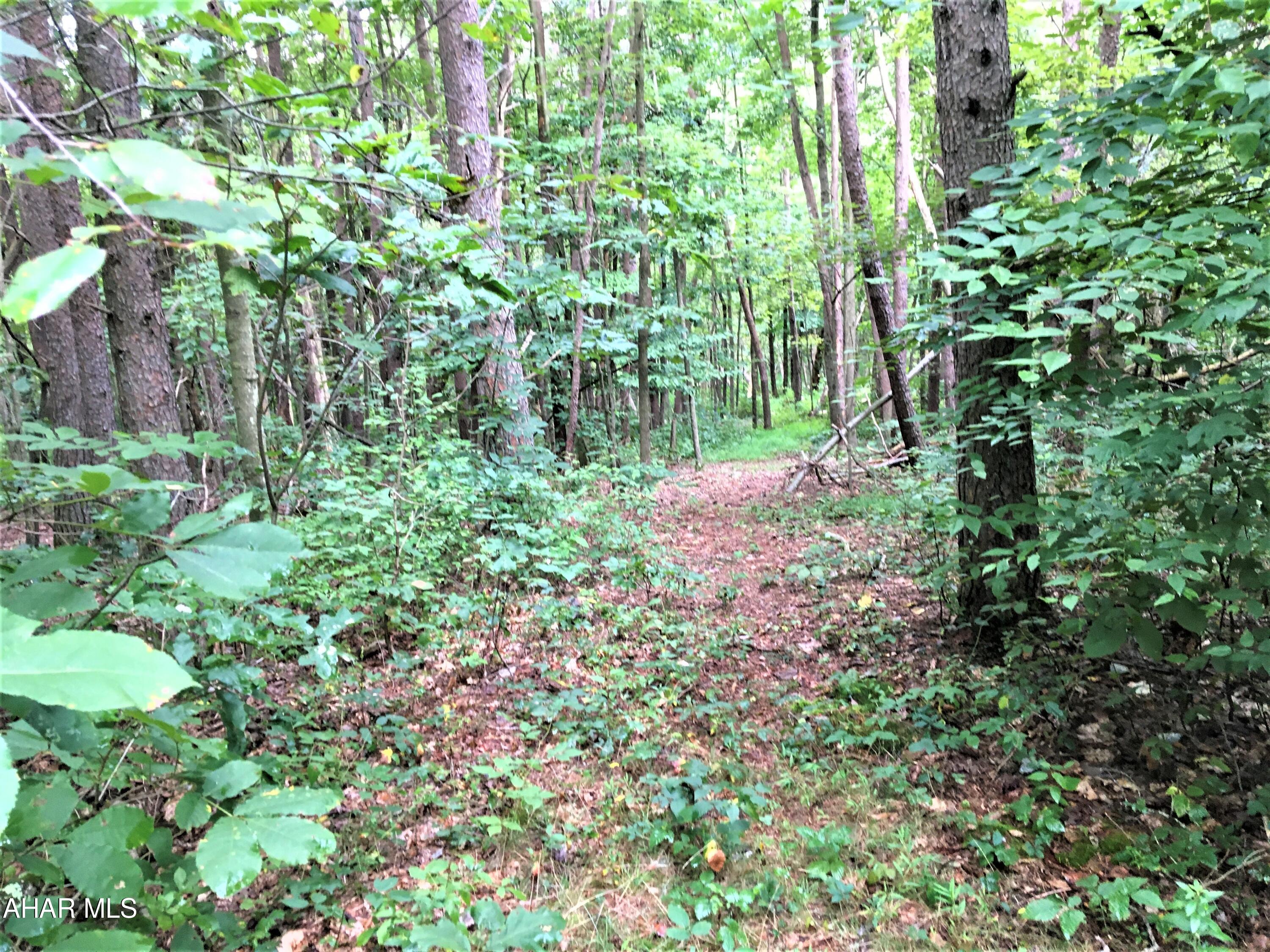 0 Plank Road Everett, PA 15537 - Photo 10 of 14 Gallery Image 10