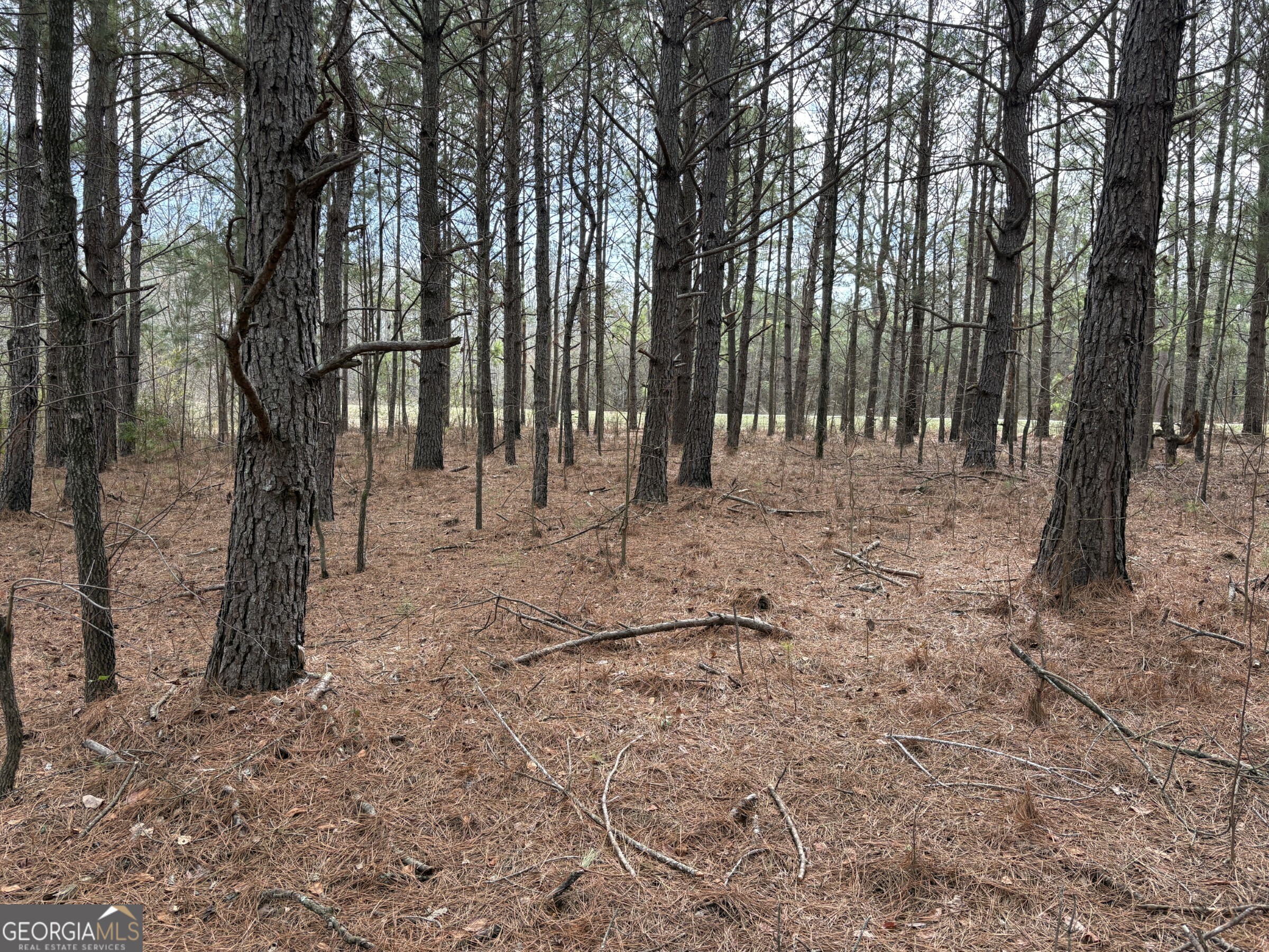 L8 Quaker Road Keysville, GA 30816 - Photo 2 of 10