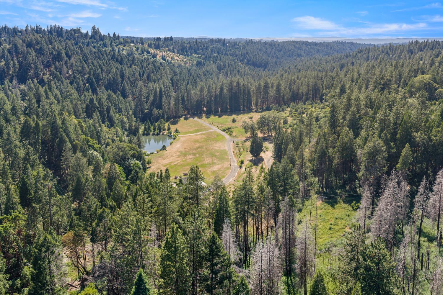 1237 Cable Road Camino, CA 95709 - Photo 71 of 87