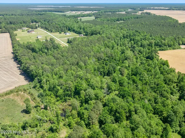 $640,000 | 460 Upland Road, Willard, NC 28478