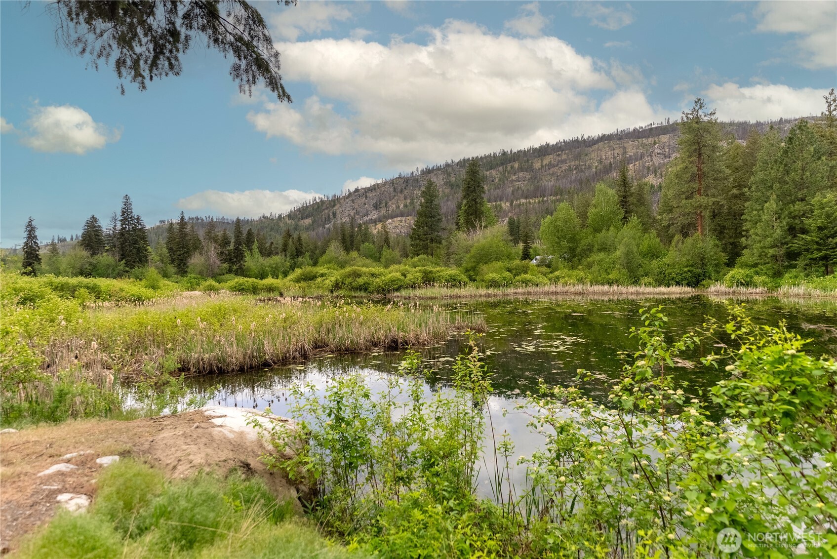 69 Fs 5010 Road Winthrop, WA 98862 - Photo 28 of 38
