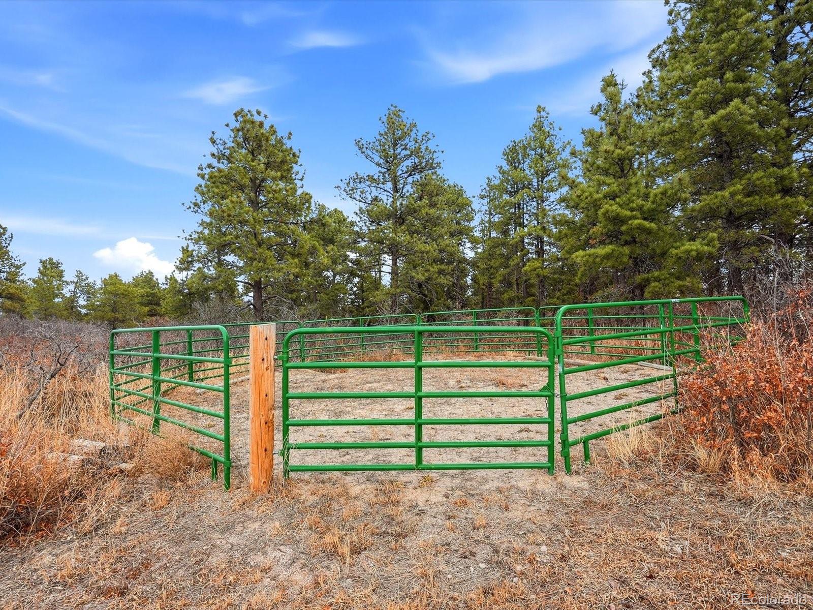 7750 East Greenland Road Franktown, CO 80116 - Photo 14 of 48 a view of backyard with green space