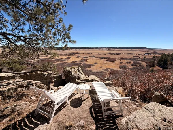 a view of a tree with a yard