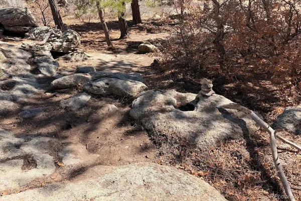 a black and white photo of a