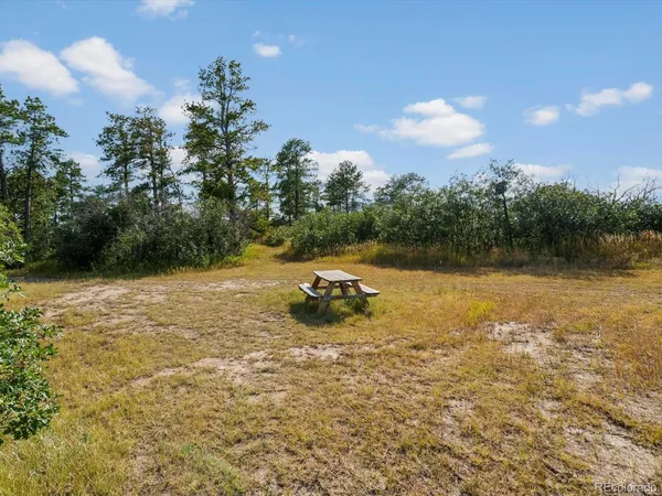 a view of an ocean and beach
