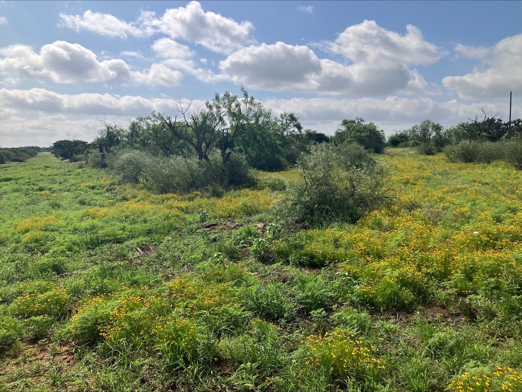 4605 West Ranch Road Mason, TX 76856 - Photo 20 of 26