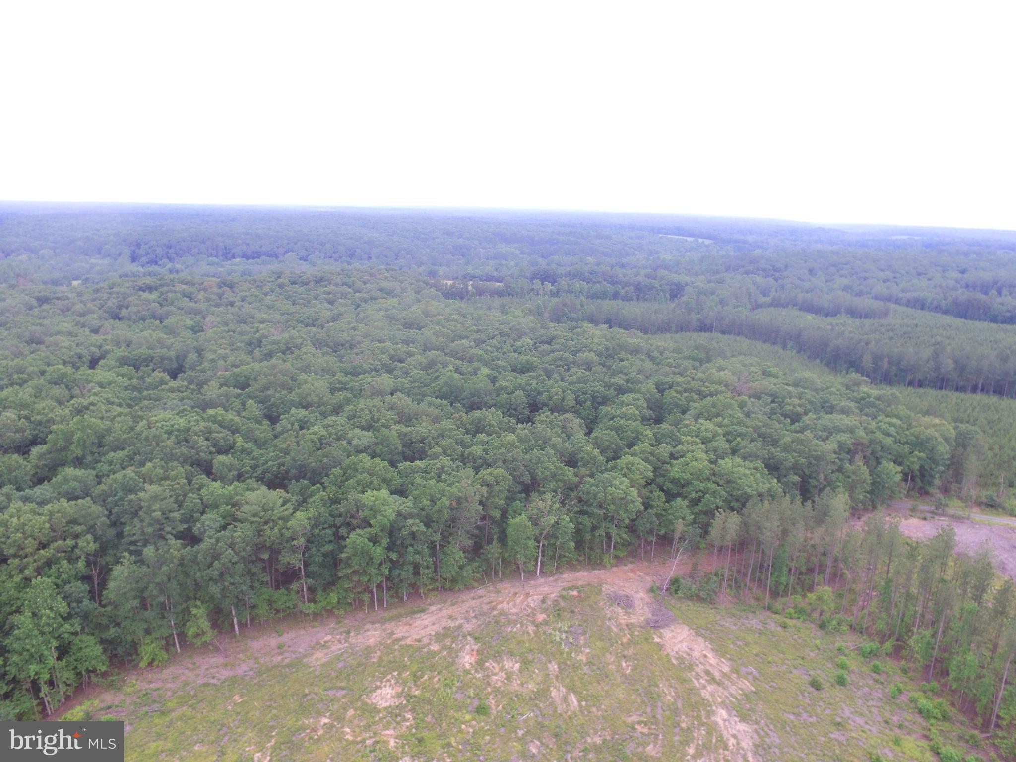 0 Jacobs Ford Road Lignum, VA 22726 - Photo 1 of 4 Beautiful land to building your dream home