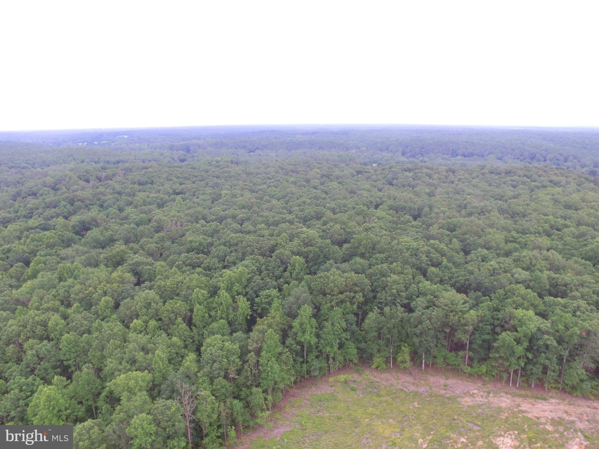 0 Jacobs Ford Road Lignum, VA 22726 - Photo 2 of 4 Dream home can be build in this nook