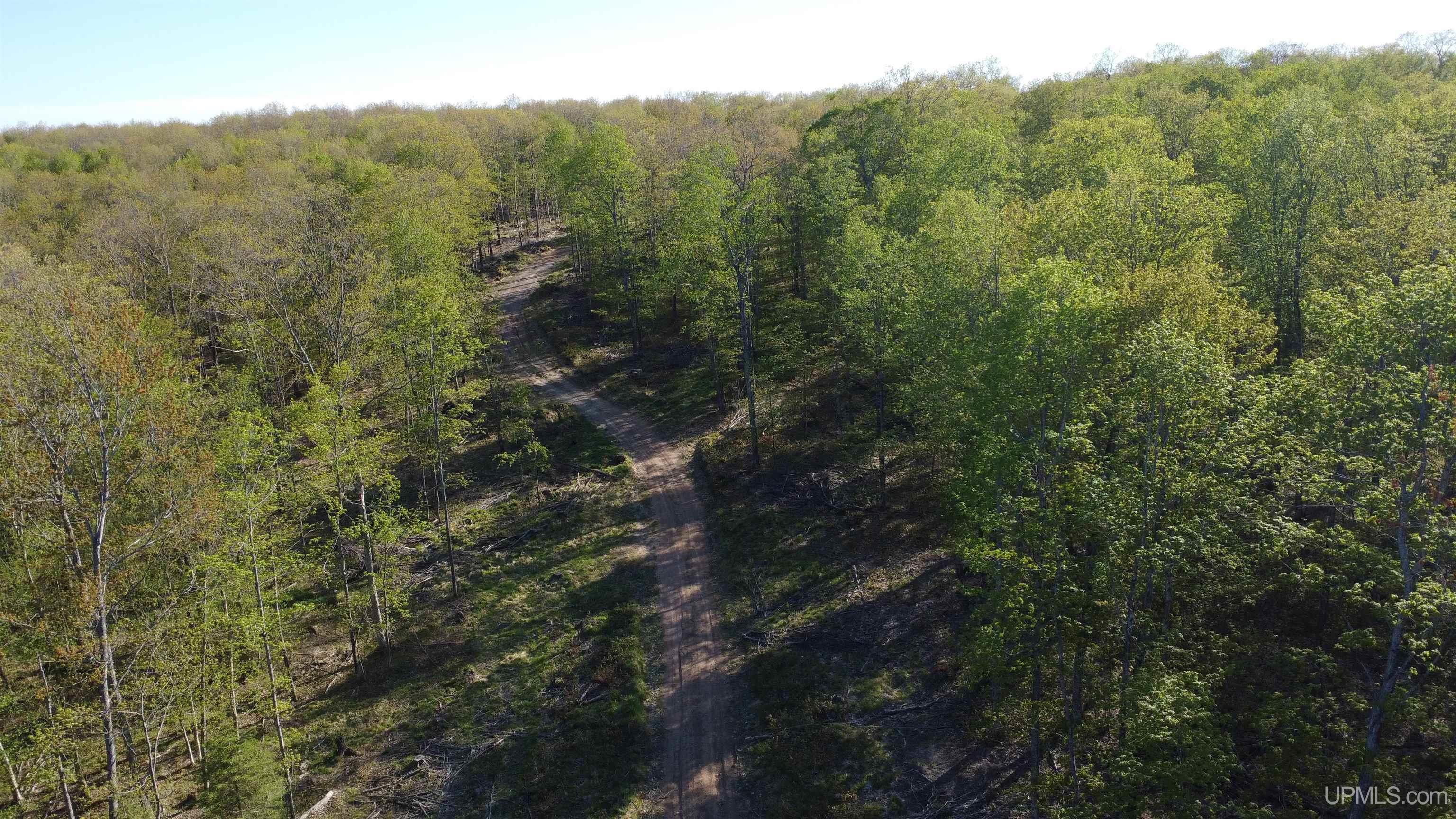 Off Off Hoist Road Negaunee, MI 49866 - Photo 26 of 45
