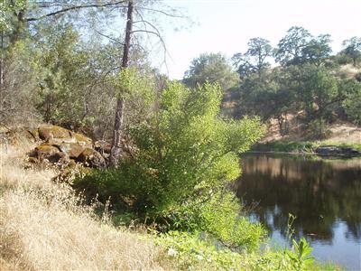 29734 Morgan Canyon Road Prather, CA 93651 - Photo 30 of 33 Gallery Image 30
