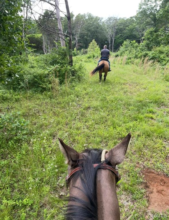 3700 State Rd V De Soto, MO 63020 - Photo 31 of 55