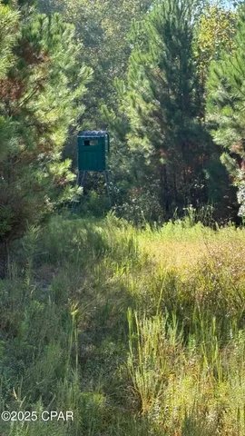 $456,000 | 0 Hwy 2 Graceville, Graceville, FL 32440