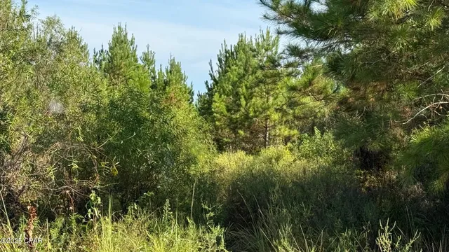 $456,000 | 0 Hwy 2 Graceville, Graceville, FL 32440