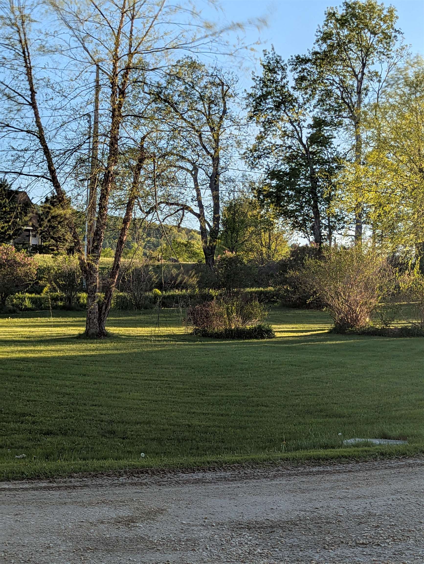 97 Frost Hill Road Mount Holly, VT 05730 - Photo 36 of 54