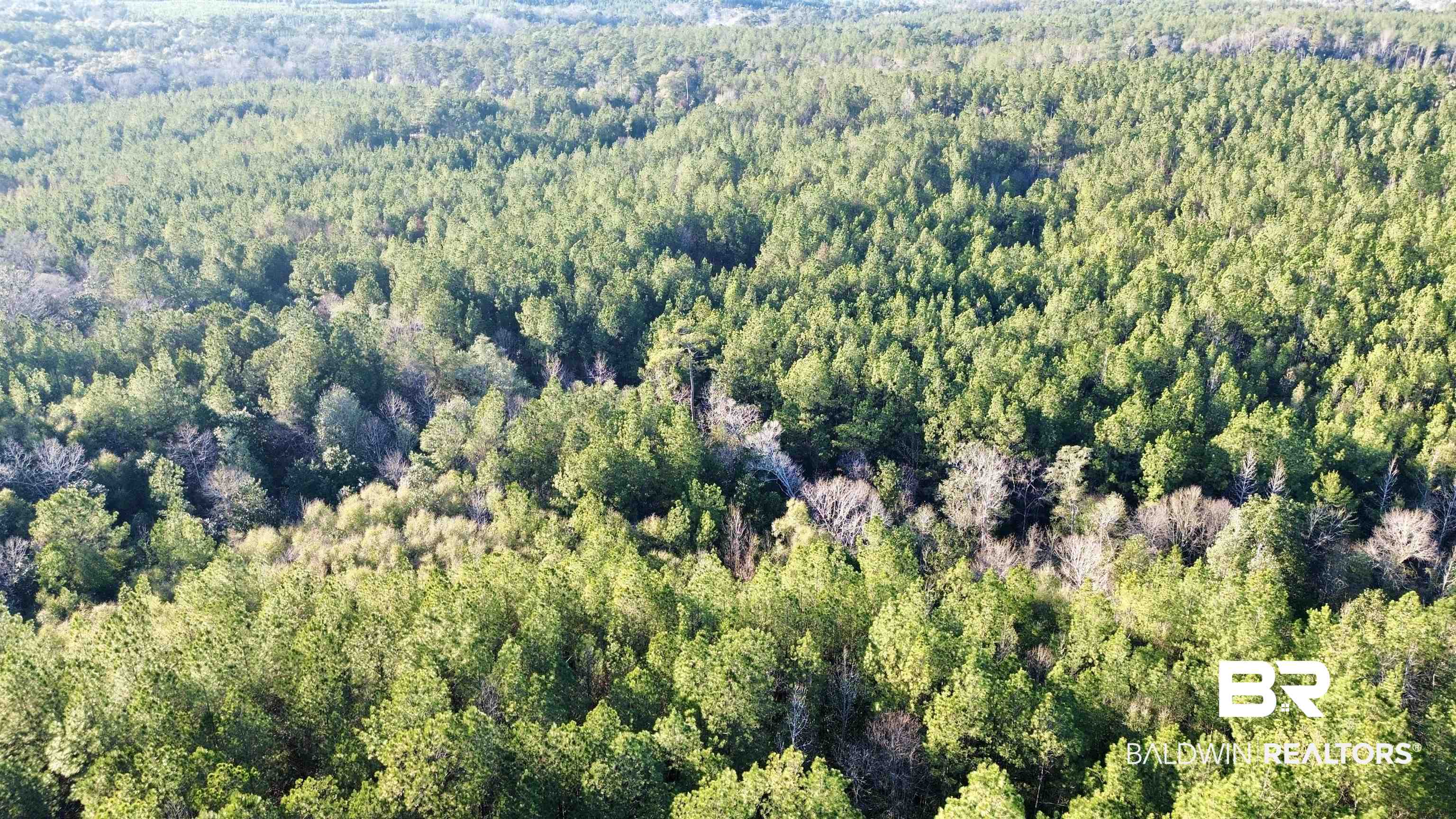 0 Ward Road Frisco City, AL 36445 - Photo 7 of 12 Aerial view featuring a forest view
