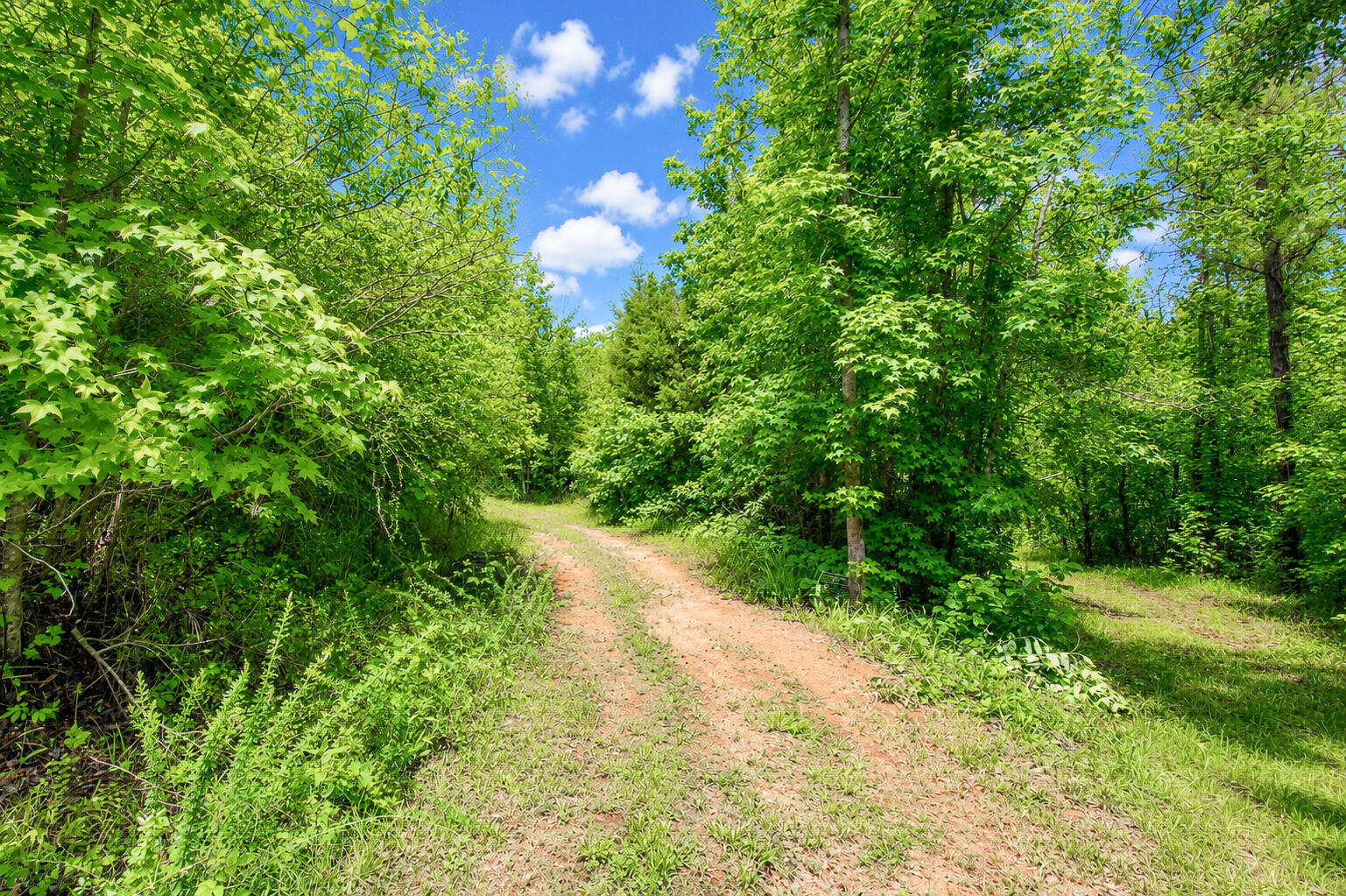 846 Briggs Road North Augusta, SC 29860 - Photo 39 of 52 Trails!