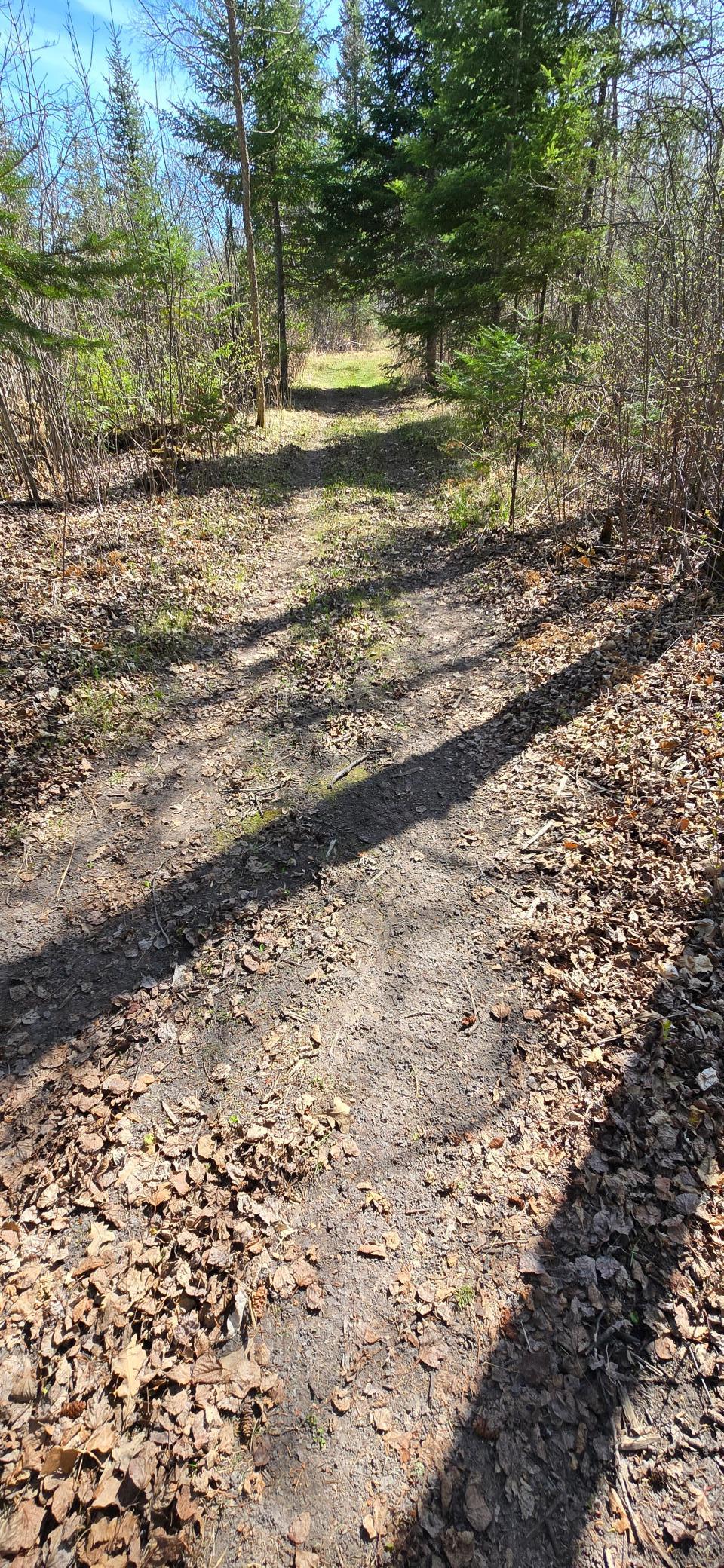 17801 Bear Creek Angle Inlet, MN 56711 - Photo 7 of 41