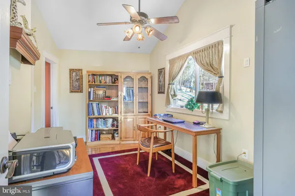 a view of a tree with a tree