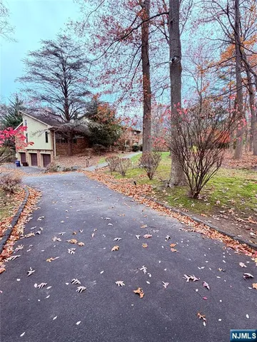 a view of a yard with plants and trees