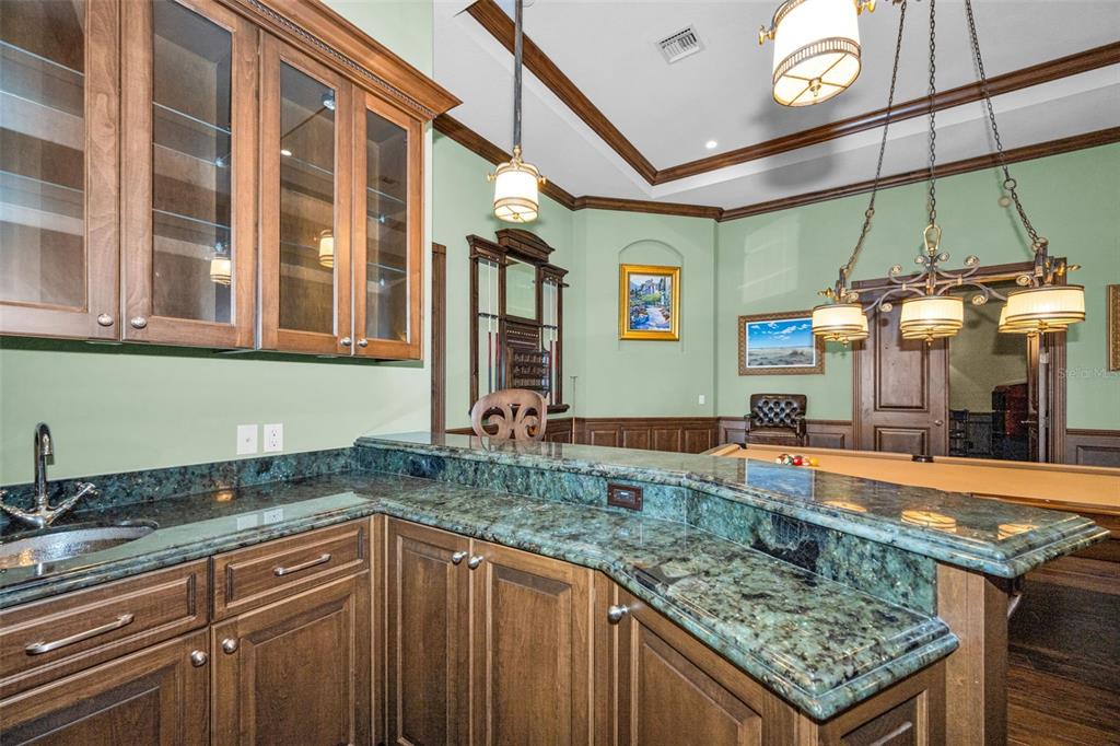 10031 Milano Drive Trinity, FL 34655 - Photo 31 of 100