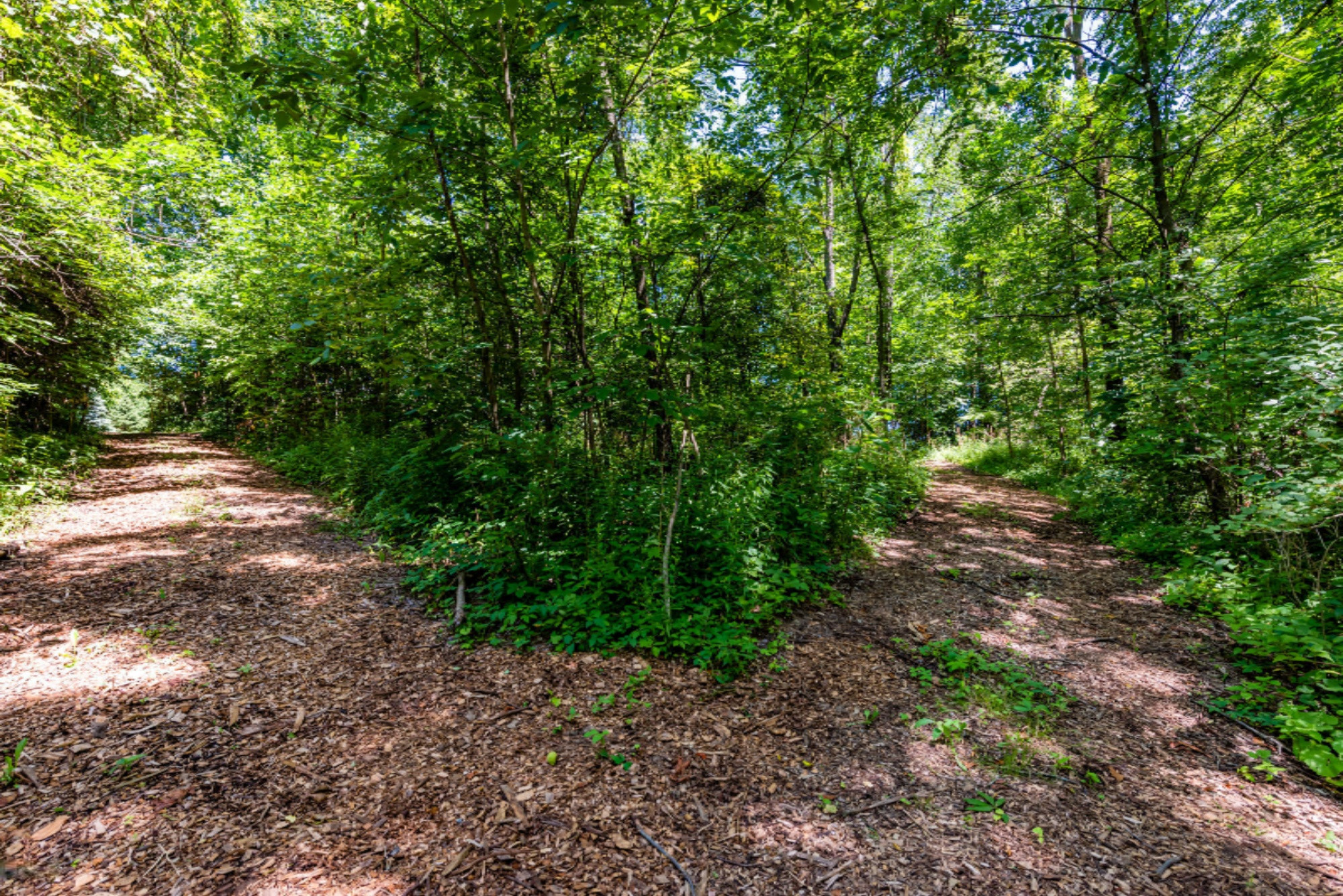 9912 Garr Road Berrien Springs, MI 49103 - Photo 35 of 51 Garr-107