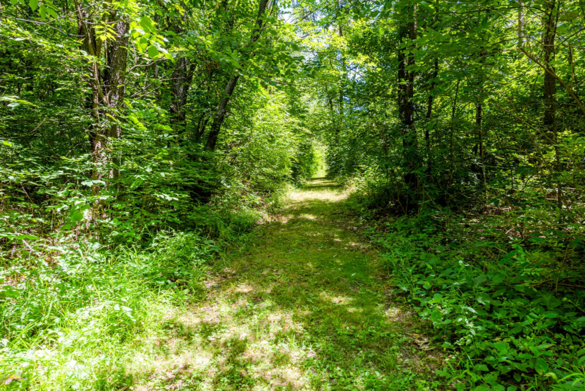 9912 Garr Road Berrien Springs, MI 49103 - Photo 45 of 51 Garr-118