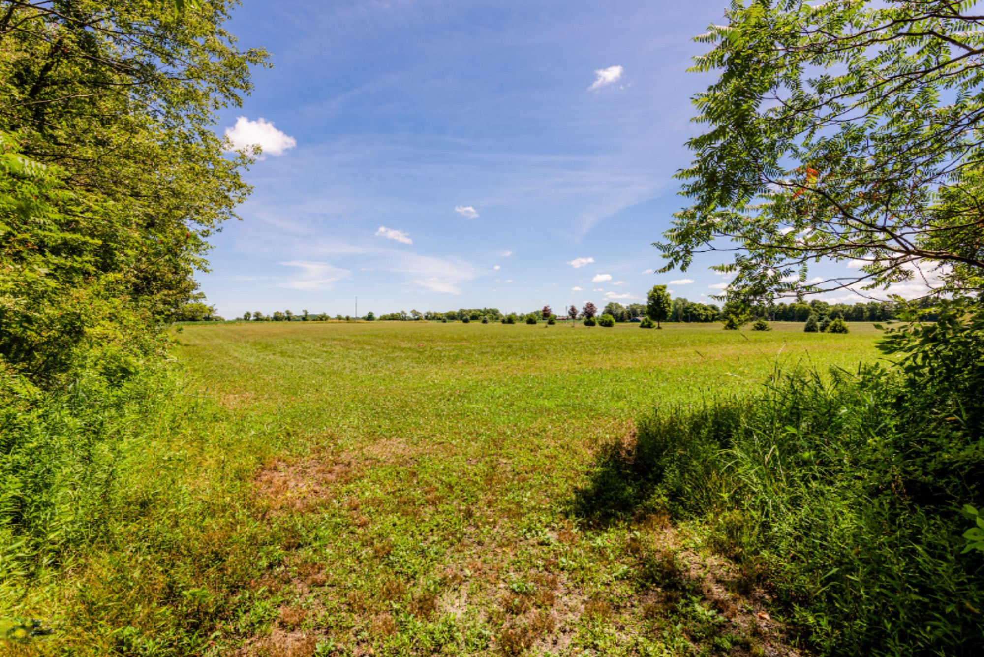 9912 Garr Road Berrien Springs, MI 49103 - Photo 46 of 51 Garr-120