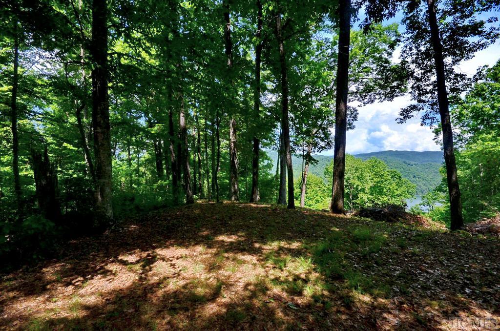 968 Shepherds Gap Road Cullowhee, NC 28723 - Photo 24 of 25 Gallery Image 24