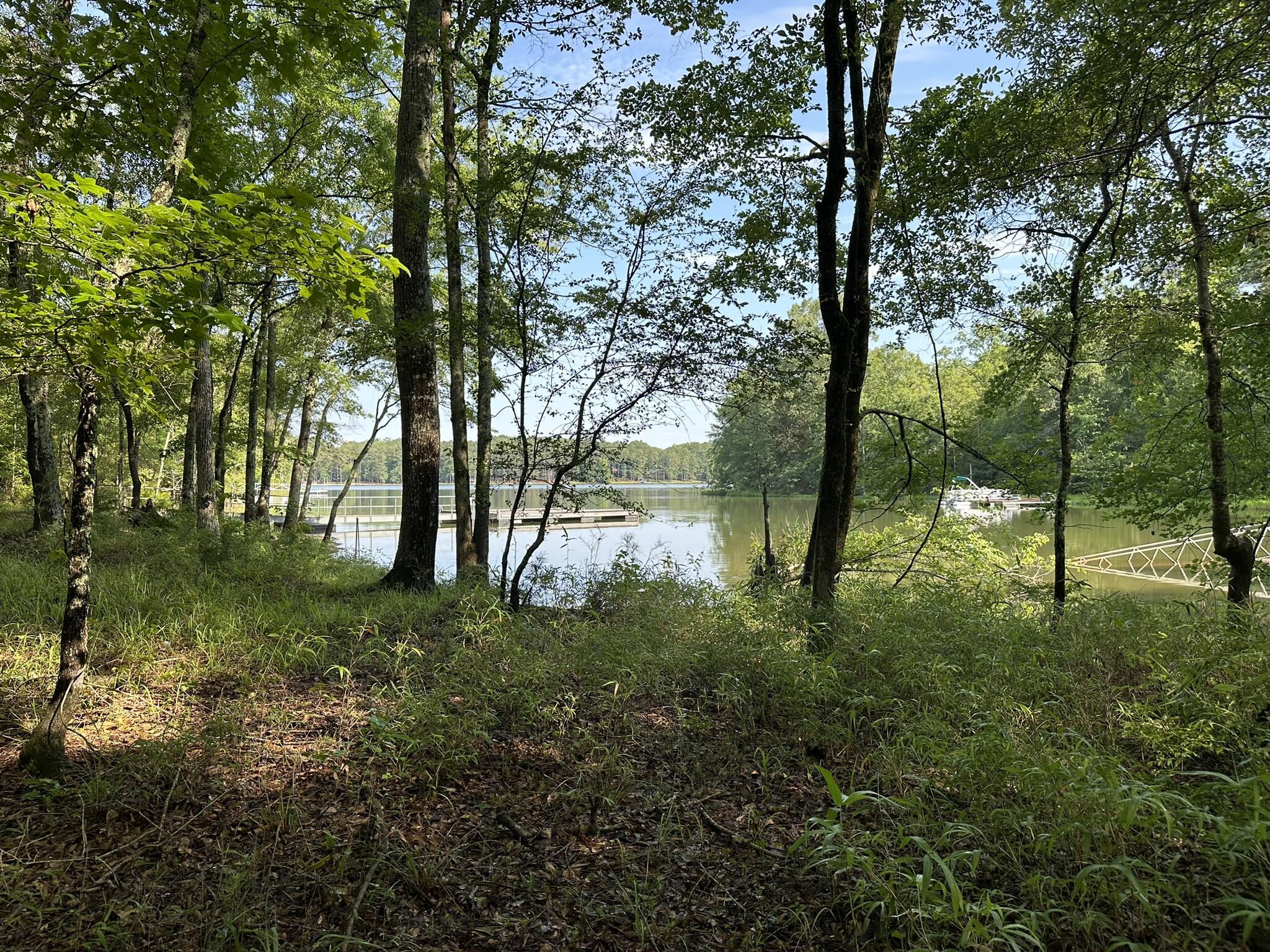 1108 Sunset Cove Tignall, GA 30668 - Photo 11 of 38 IMG_8296