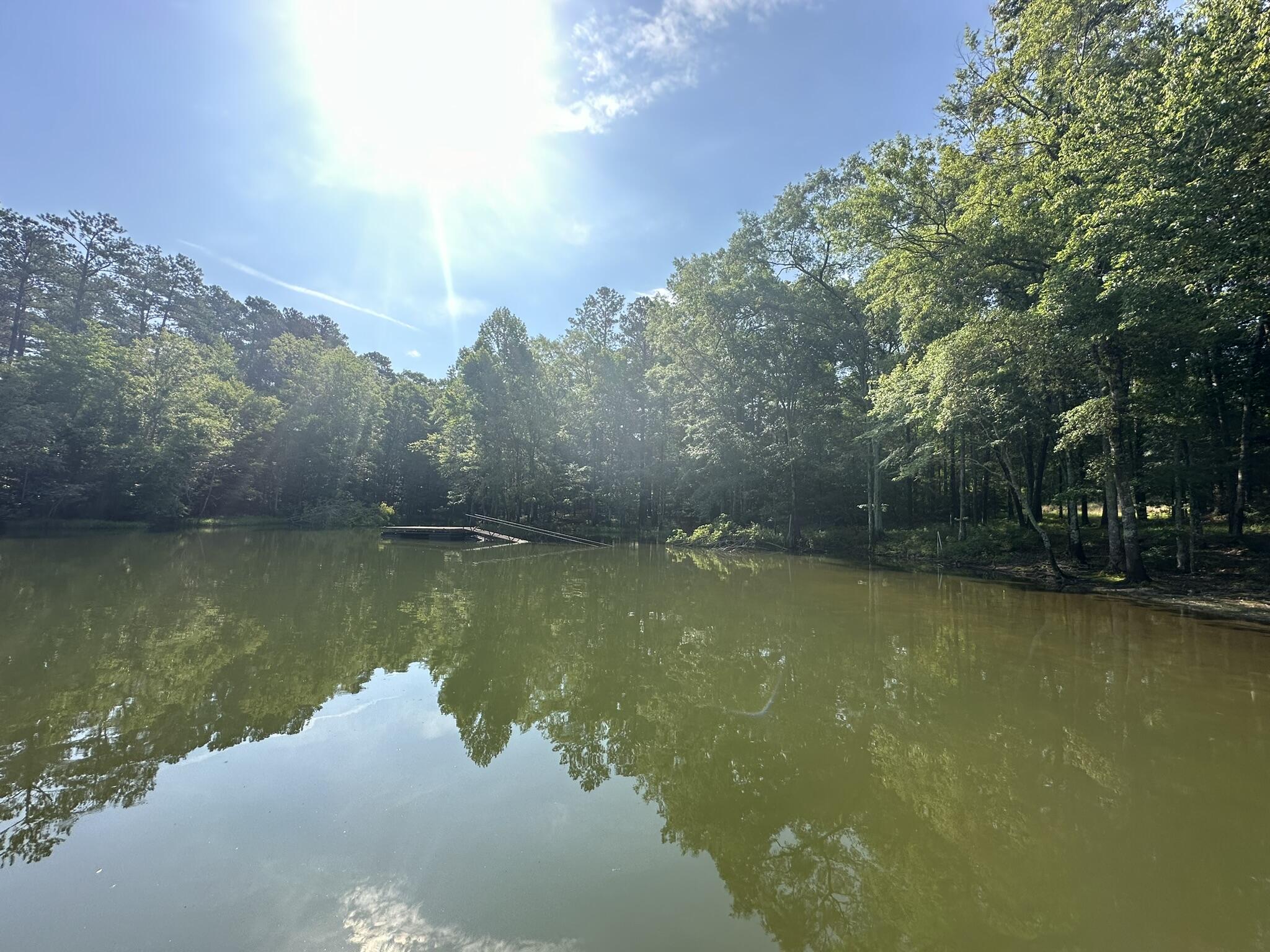 1108 Sunset Cove Tignall, GA 30668 - Photo 14 of 38 IMG_8293