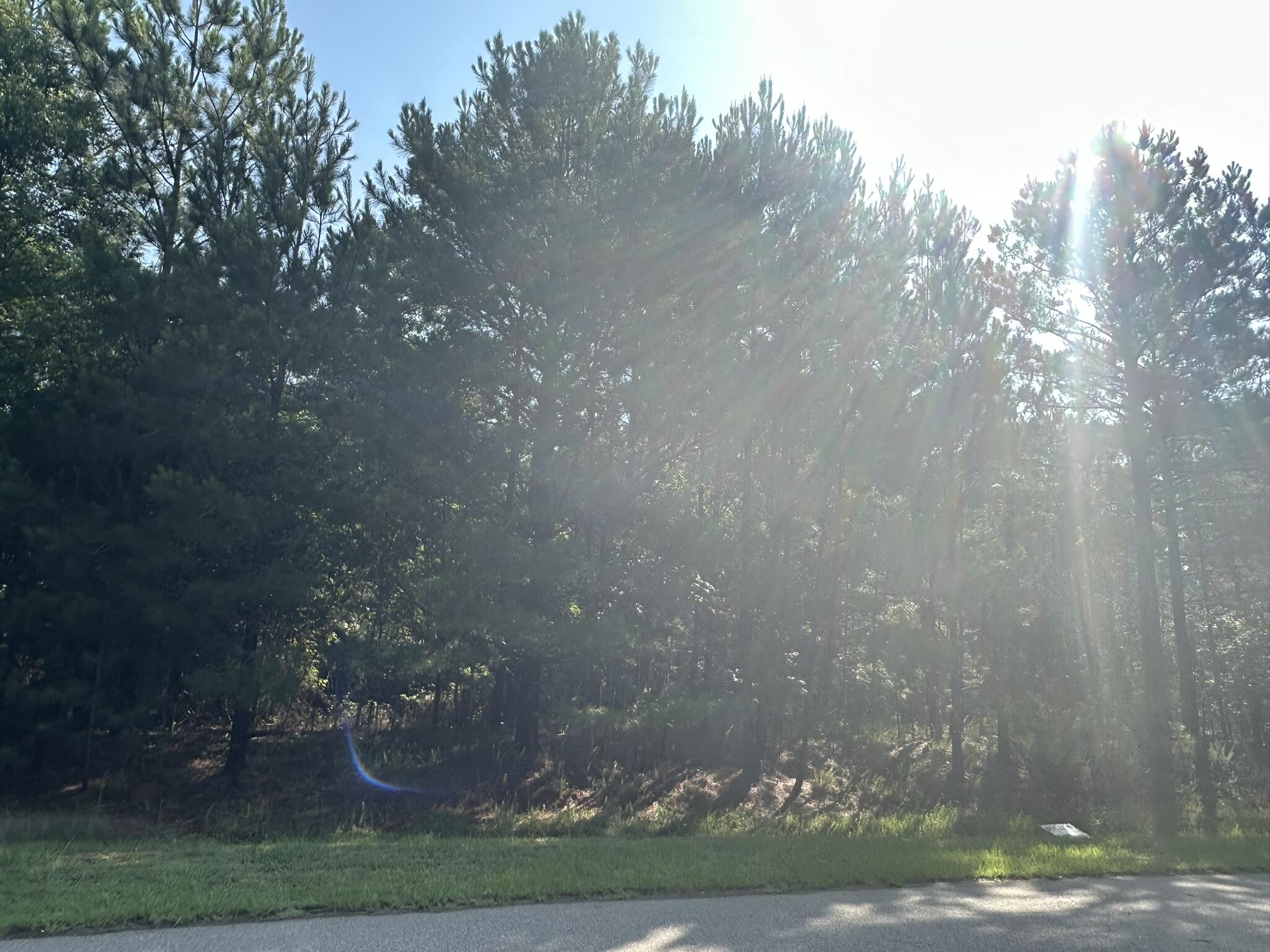 1108 Sunset Cove Tignall, GA 30668 - Photo 3 of 38 IMG_8289