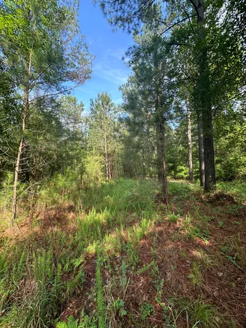 $175,000 | 1108 Sunset Cove, Tignall, GA 30668