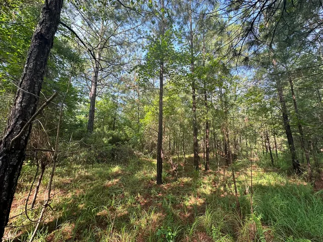 $175,000 | 1108 Sunset Cove, Tignall, GA 30668