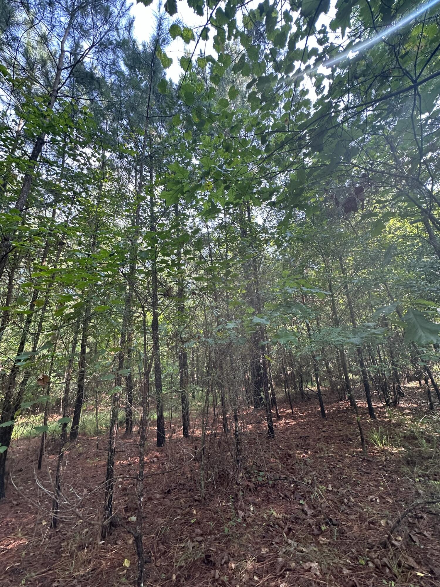 1108 Sunset Cove Tignall, GA 30668 - Photo 8 of 38 IMG_8301