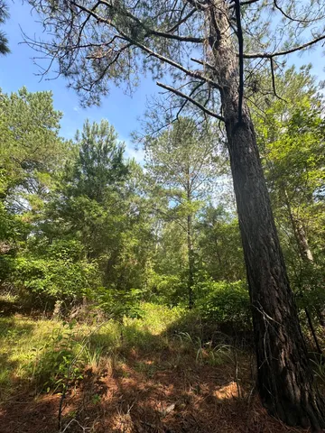 $175,000 | 1108 Sunset Cove, Tignall, GA 30668