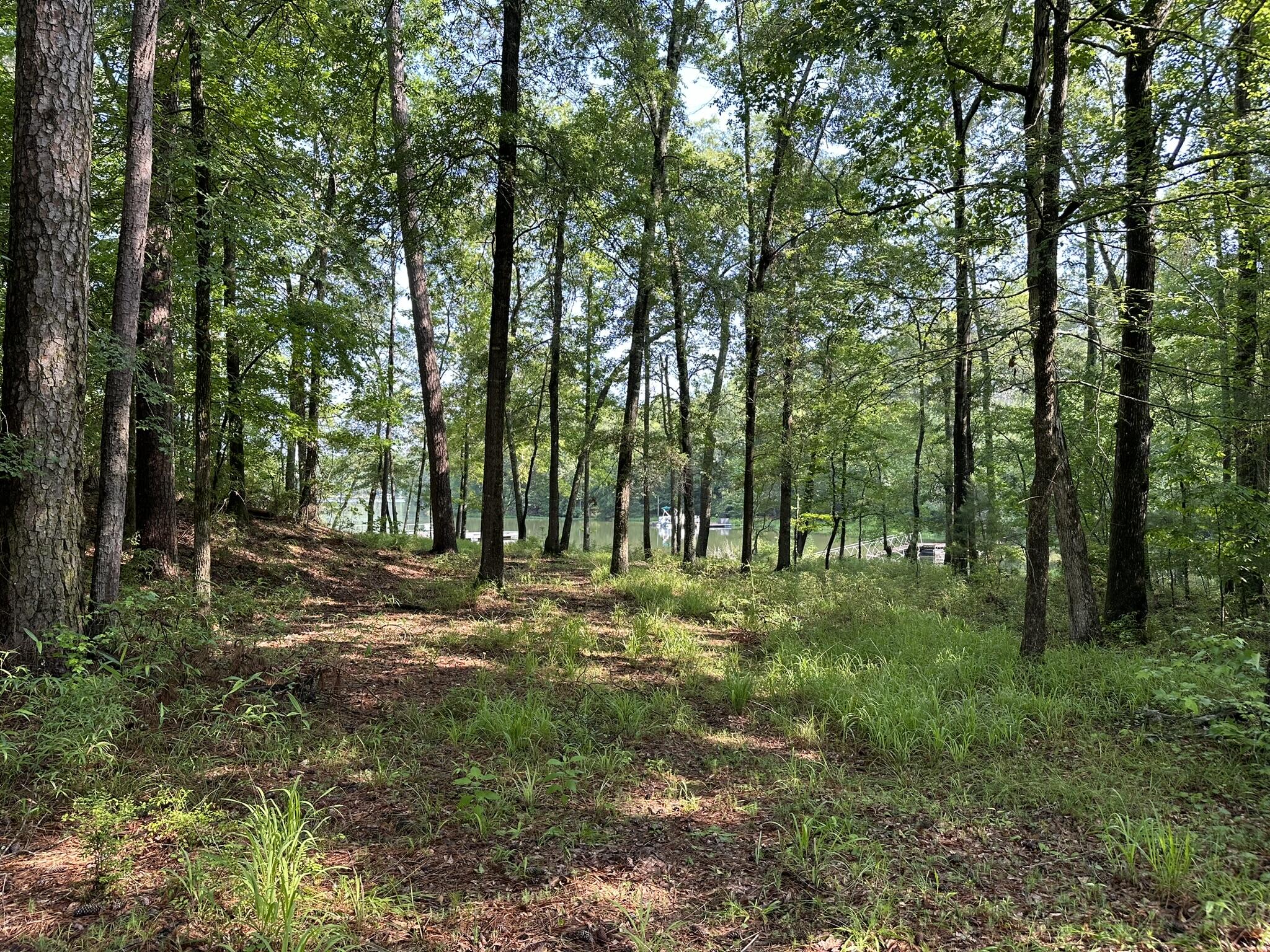 1108 Sunset Cove Tignall, GA 30668 - Photo 10 of 38 IMG_8290