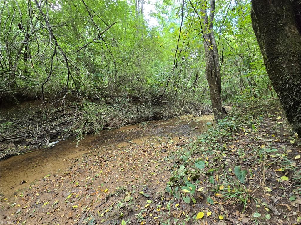 0 Boone Farm Road Asheboro, NC 27205 - Photo 16 of 50 Gallery Image 16