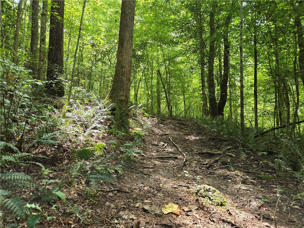 0 Boone Farm Road Asheboro, NC 27205 - Photo 33 of 50 Gallery Image 33