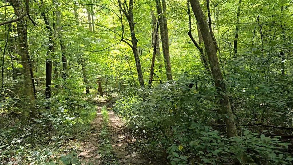 0 Boone Farm Road Asheboro, NC 27205 - Photo 44 of 50 Gallery Image 44