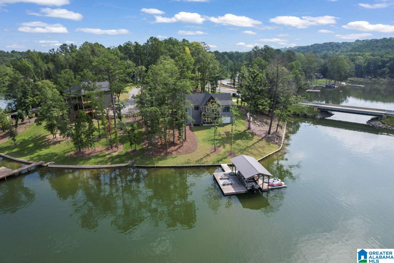 1559 Sturdivant Road Jacksons Gap, AL 36861 - Photo 3 of 64