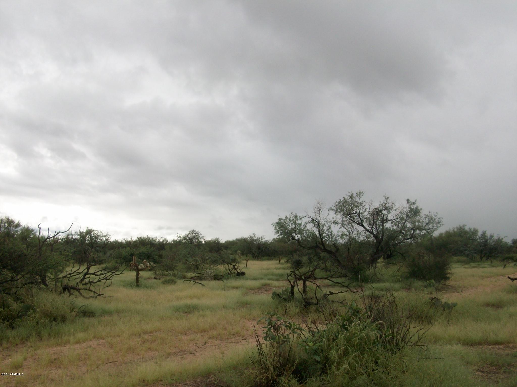 13125 West Gunsmoke Road Tucson, AZ 85736 - Photo 4 of 4 Gallery Image 4