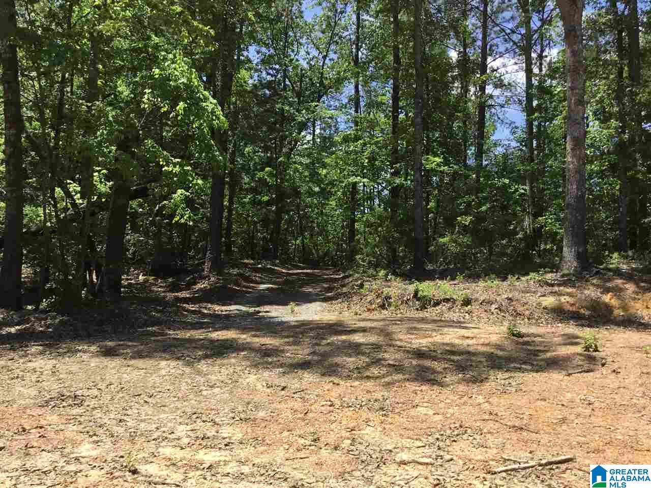 7237 Joinertown Road, Unit 7 09 ACRES Columbiana, AL 35051 - Photo 7 of 17